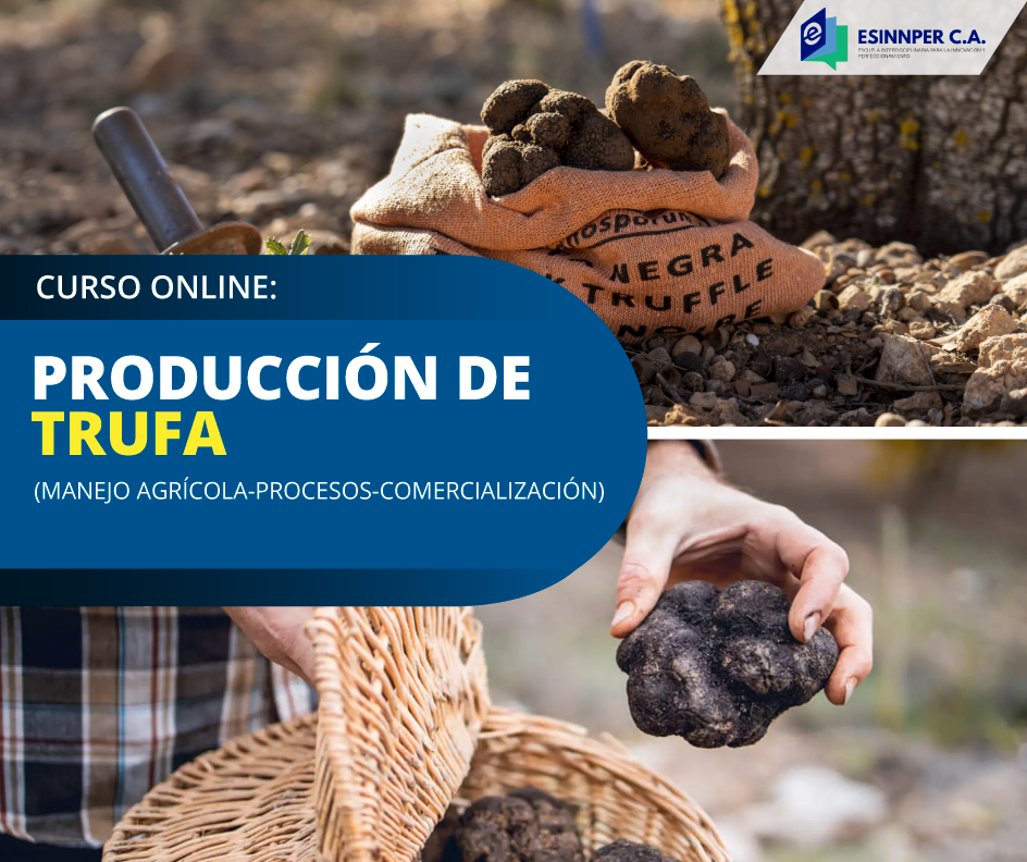 CURSO-Trufa.png