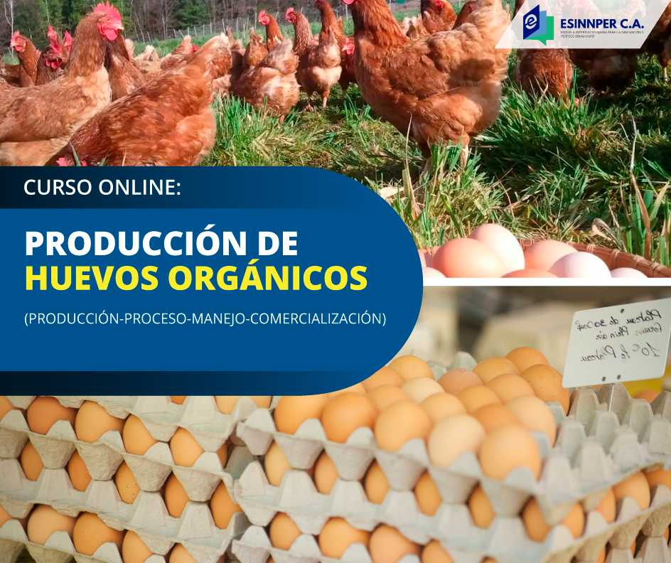 CURSO-Huevos-Orgánicos.png