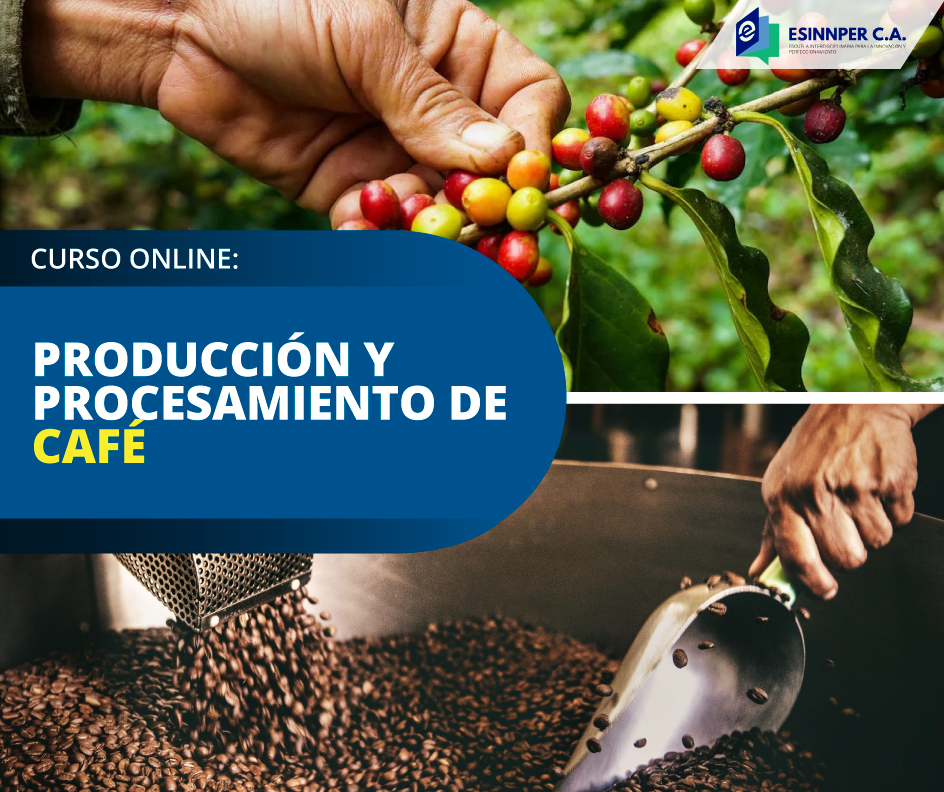 CURSO-Café.png