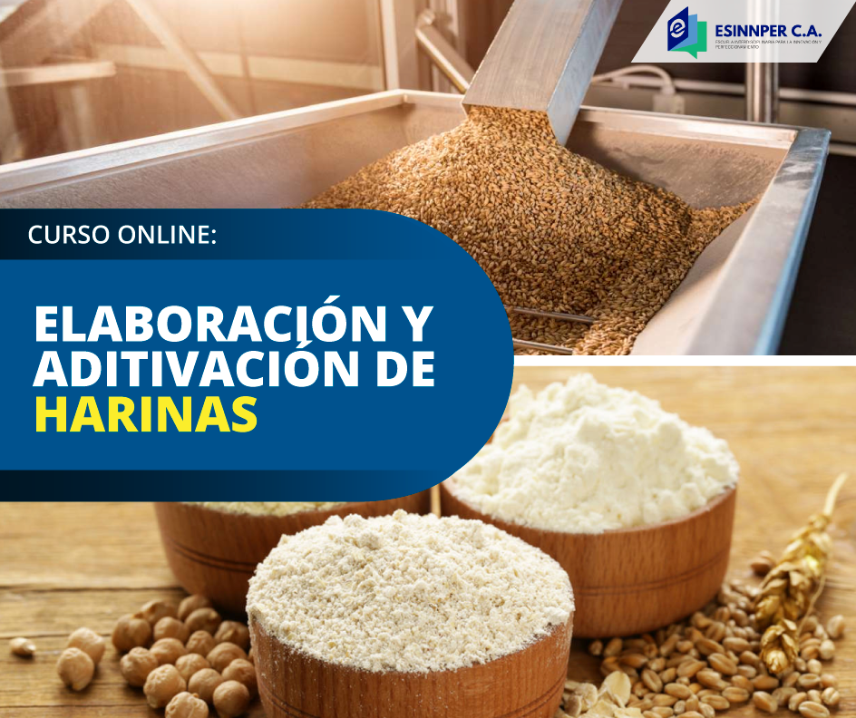 CURSO-Harina.png