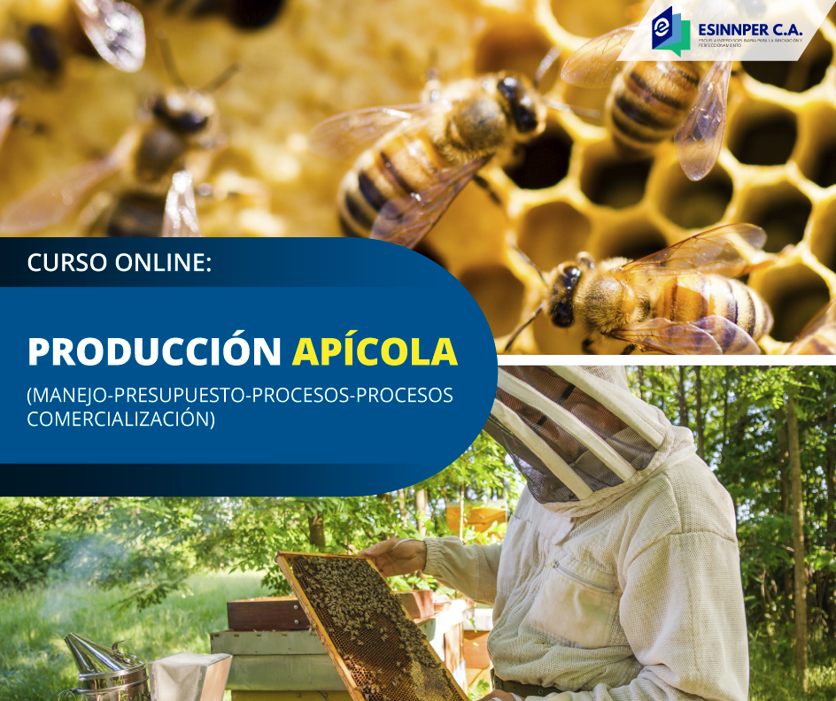 CURSO-APICULTURA.png