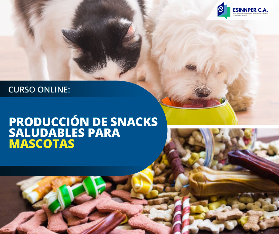 CURSO-MASCOTAS.png