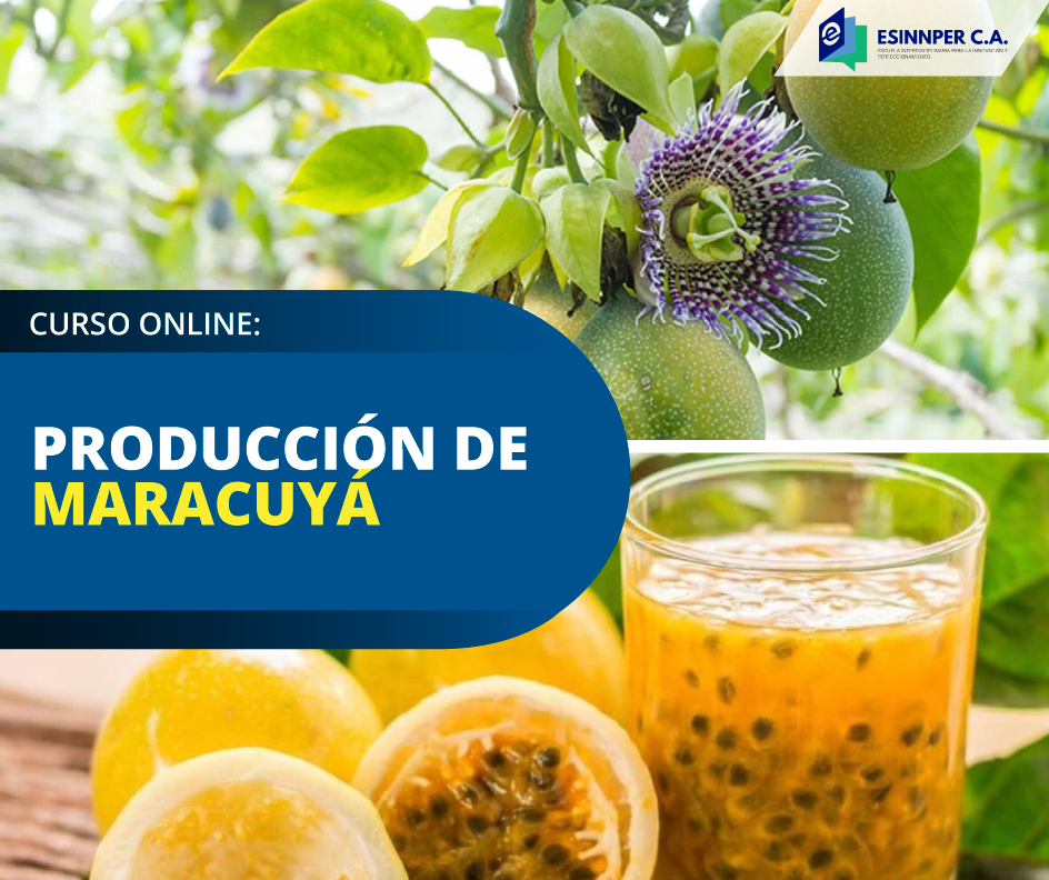 CURSO-Maracuyá.png