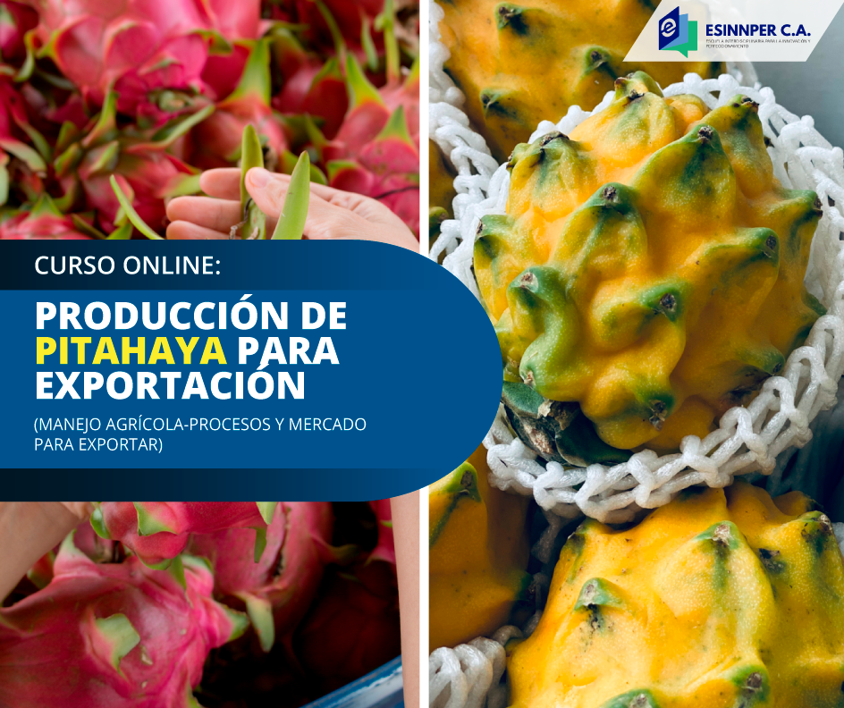 Pitahaya.png