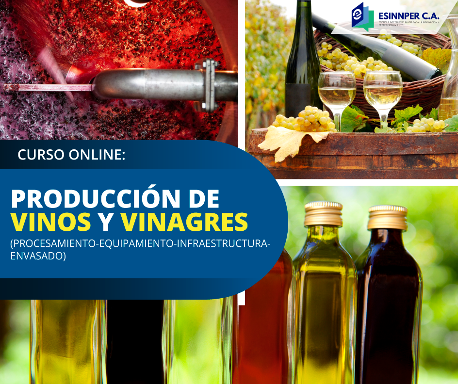 CURSO-Vinos-y-Vinagres.png